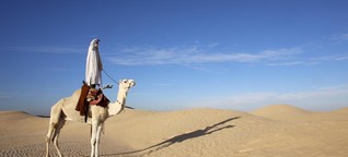 Wüste statt Küste: Zu Tunesiens Oasen in der Sahara