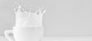 Soja, Hafer, Mandel, Kuh - Welche Milch ist am umweltfreundlichsten?