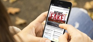 'New generation of disinformation' awaits next Commission, says rights group