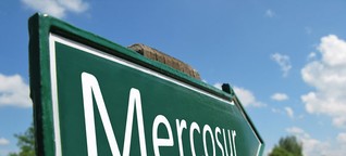 Steht die Kritik dem Mercosur-Abkommen im Weg?