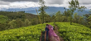 Sri Lanka und der Klimawandel - Landwirtschaft wird zum Glücksspiel