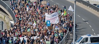 Globaler Klimastreik: So demonstriert der Norden