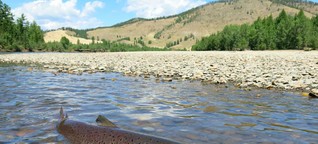 The Ultimate Fishing Guide to Mongolia