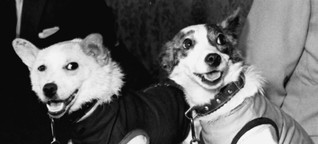 Belka und Strelka: Die vergessenen Weltraumhunde