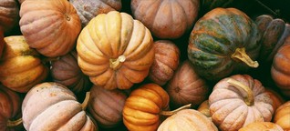 Saisonkalender für Oktober: Das könnt ihr jetzt regional kaufen und essen