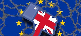 Soziale Medien und das Brexit-Referendum - Propaganda, Lügen, Fake News