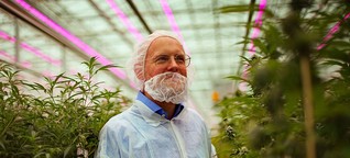 Wie Deutschland in die Cannabis-Zukunft stolpert (2019)