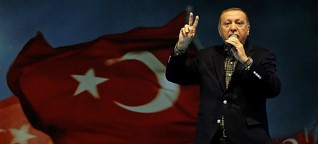 "Auftritt von Erdogan kaum zu verhindern" | DW | 29.06.2017