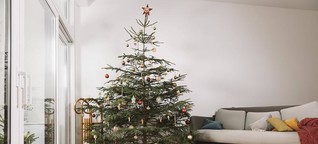 Tipps für ein grüneres Weihnachtsfest | DW | 22.12.2019