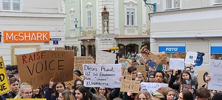 Schüler gehen für Klimaschutz auf die Straße (ORF Niederösterreich)