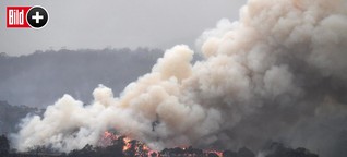 Feuer-Hölle Australien: Kann der Qualm auch zu uns kommen?