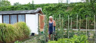 Kleingärtner in Sachsen-Anhalt: "Solange wie's geht, geb' ich den Garten nicht ab"