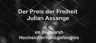 Assange hinter Gittern, von Felicity Ruby
