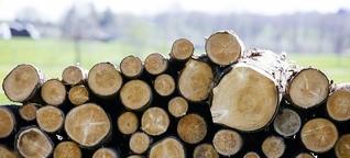 Holz als Baustoff: In München entsteht die größte Holzbausiedlung Europas | BR.de