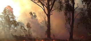 Australiens Regierung: Es brennt halt