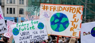 Klimaschutz: Fridays for Future fliegt viel