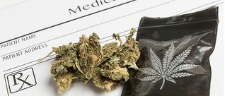 New Mexico Court Rules in Favour of Marijuana Tax Deduction