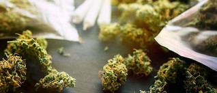 Illinois Sold Almost $40m of Recreational Marijuana in January