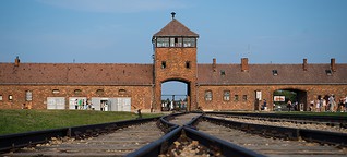 Henry Hafenmayer: Holocaustleugner inszeniert sich vor Gericht