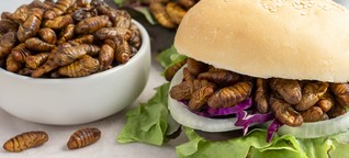 Insekten-Food: Sechs Beine für einen Öko-Burger
