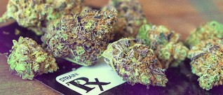 Nebraska Coalition Seeks Medical Marijuana Legalization