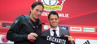 Ein Weltstar in Leverkusen: Die Folgen des Chicharito-Deals für Bayers Offensive