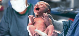 Deutschland: Zwei Kinder nach Gebärmuttertransplantationen geboren - DER SPIEGEL - Gesundheit