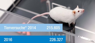 Statistiken: Die meisten Tierversuche gibt es in der Region Karlsruhe