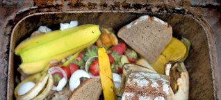 Essen im Müll - wie geht's anders?