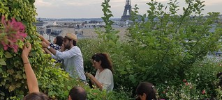 Paris und seine Dachgärten: Gemüse von oben