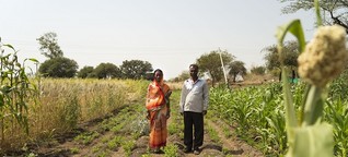 Gegen die Dürre in Indien - Pfllanzenmix statt Sojafelder