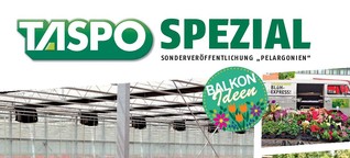 TASPO Spezial Pelargonien 2020