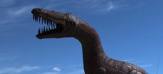 Wie in Jurassic Park?: Forscher wollen DNA von Dinosauriern gefunden haben | BR.de