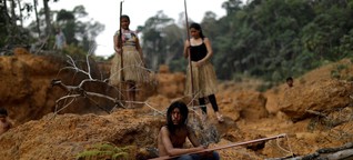 Amazonas: Bis er wieder brennt