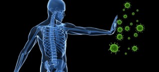 Immunsystem: 5 Fragen zur Immunität
