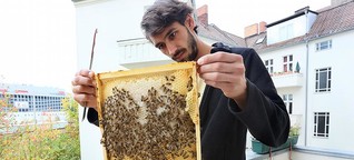 Hobby-Imkern reicht nicht zur Rettung der Bienen