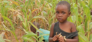 UN: Millionen Menschen hungern in Simbabwe 