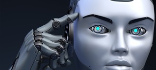 Künstliche Intelligenz: Wie lernen eigentlich Maschinen?