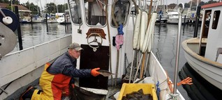 Fangquoten in der Ostsee - Ausgefischt?