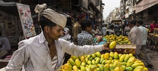 Die Königin der Früchte: In Mumbai sind die Mangos reif
