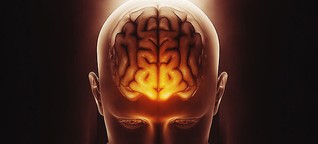 7 Risky & Dangerous Brain Damaging Habits To Stop Immediately [1]