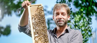 Start-ups vermieten Bienenvölker an Bauern und Firmen