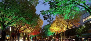 Bionik: Bäume als Straßenbeleuchtung | MDR.DE