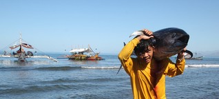 Fischerei auf den Philippinen: Kein Thunfisch, kein Glück