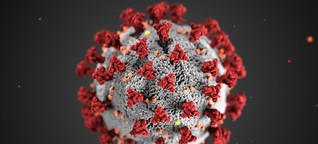 Coronavirus: Wie Sie die Zahlen richtig deuten - und warum das so schwer ist