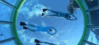 Serie Wasserspiele: Unterwasser-Rugby besticht mit Taktik und Luftnot