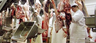 Schlachthöfe: "Es braucht eine EU-weite Kontrolle"