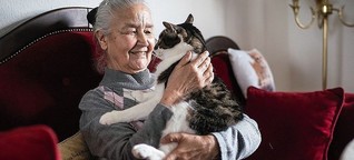 Senioren in Deutschland: Wie der Staat seine Ärmsten triezt - DER SPIEGEL - Politik