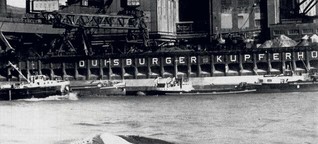 "Moby Dick" im Rhein