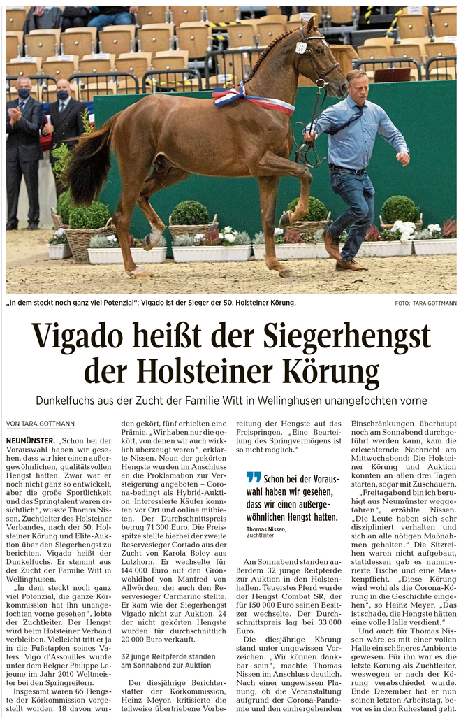 Vigado heißt der Siegerhengst der Holsteiner Körung